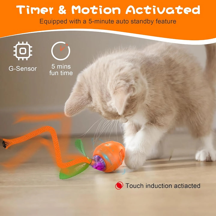 Motion-Activated Cat Ball Toy with Bird Sound and Tail Teaser