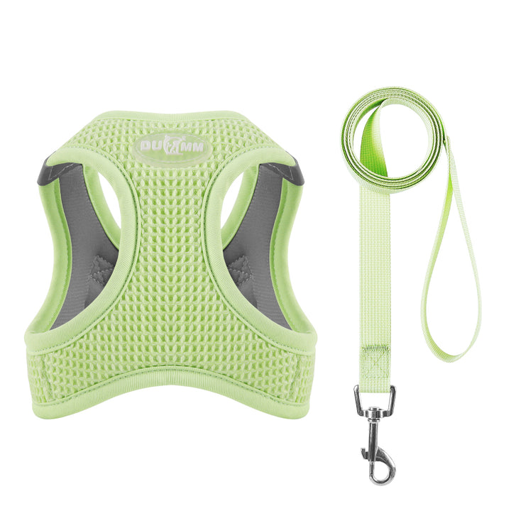 Reflective Mesh Cat & Small Dog Harness Leash Set