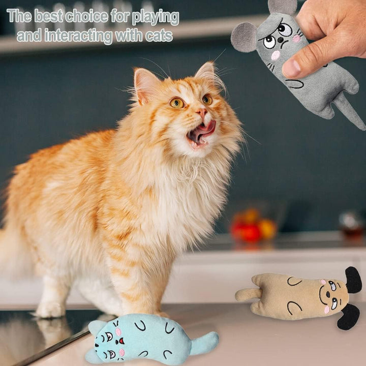 Interactive Catnip Chewing Mouse Toy