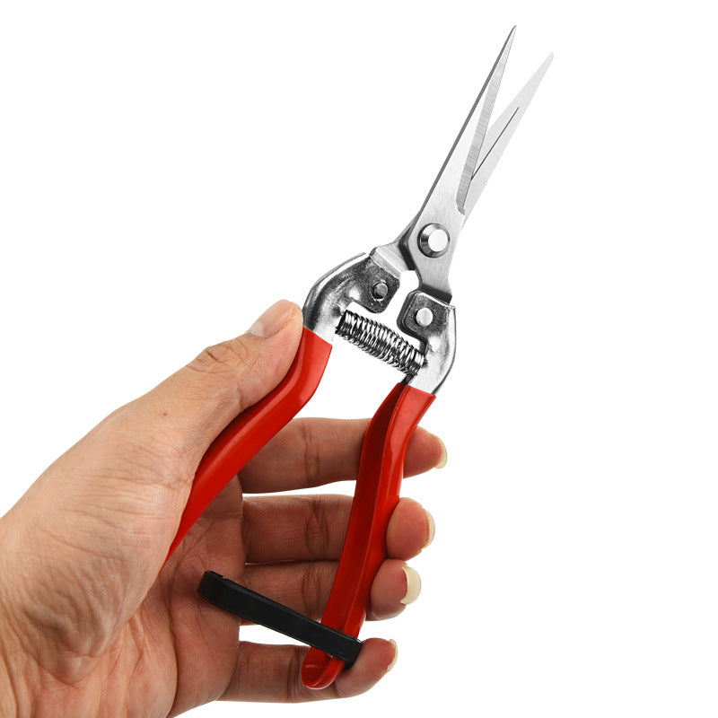 High Precision Stainless Steel Gardening Pruners for Fruit and Bonsai