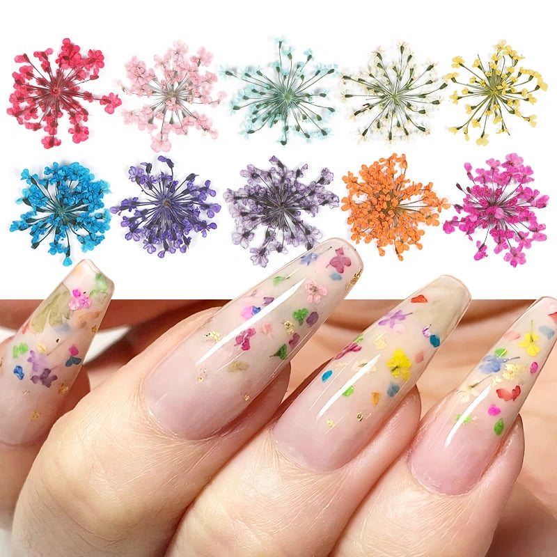 3D Dried Flower Nail Art Decorations Set