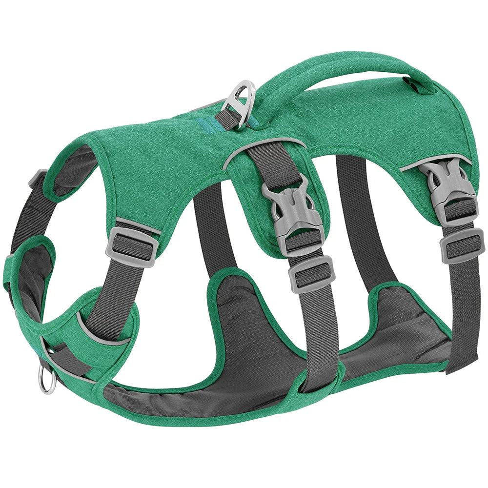 Reflective Nylon Dog Harness with Handle