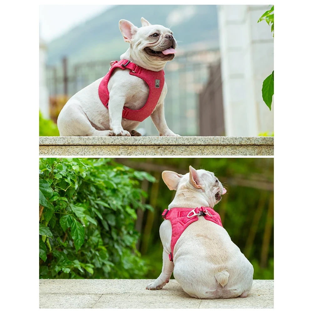 Eco-Friendly Adjustable No-Pull Pet Harness