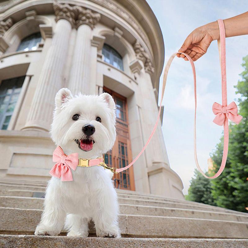 Fashion Dog Collar and Leash Set with Bowtie