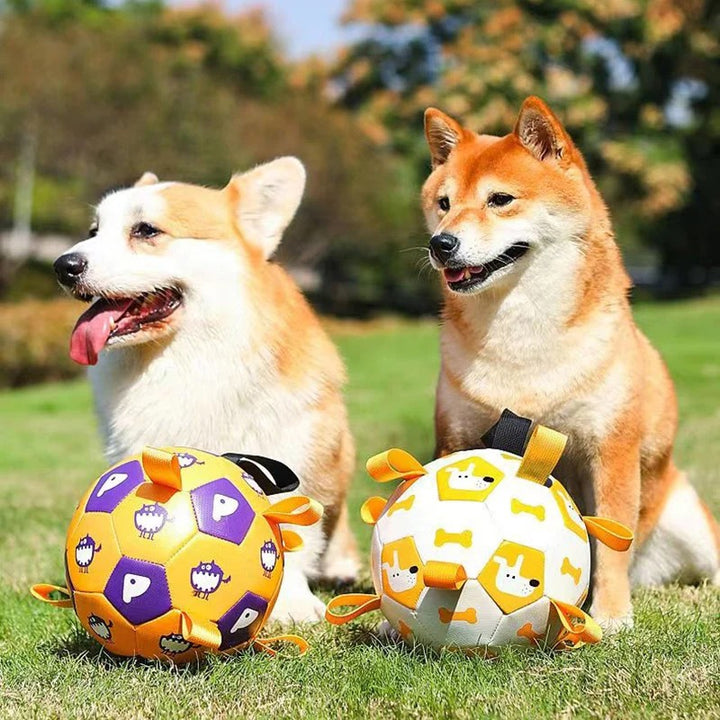 Interactive Football Dog Toy with Grab Tabs