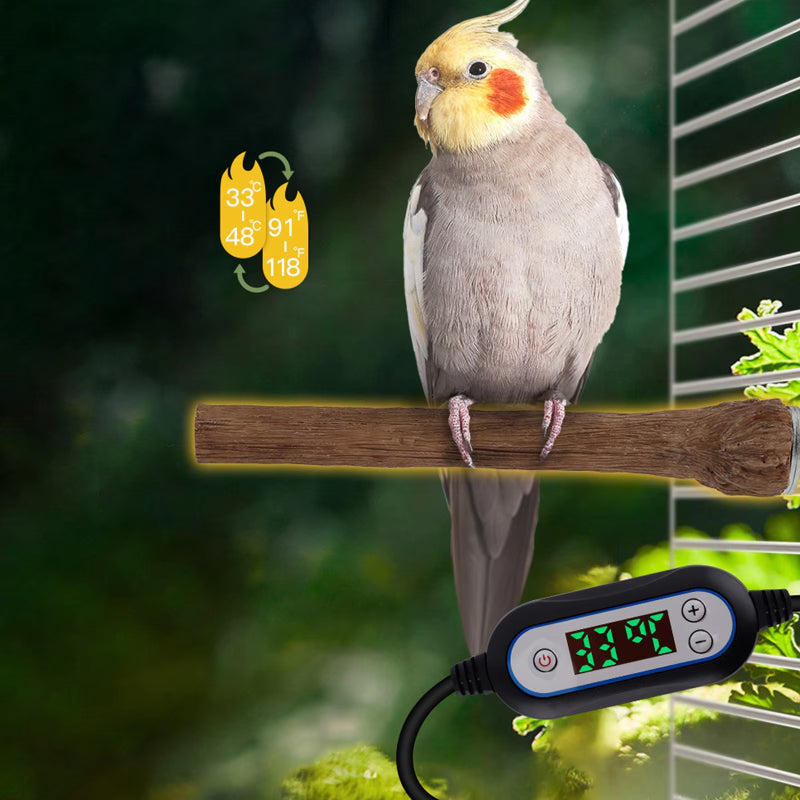 Heated Bird Perch Stand with Anti-Bite Tube