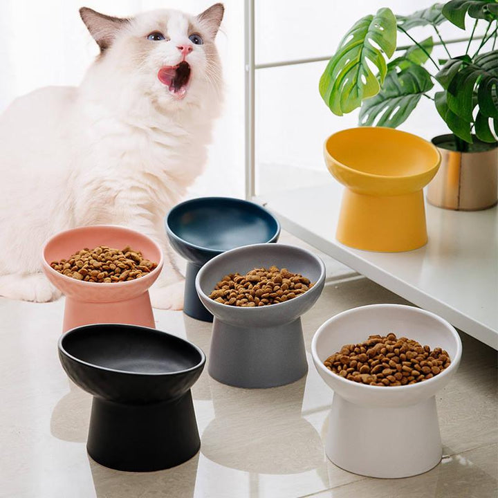 Elevated Ceramic Pet Bowl