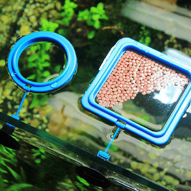 Premium Aquarium Feeding Ring