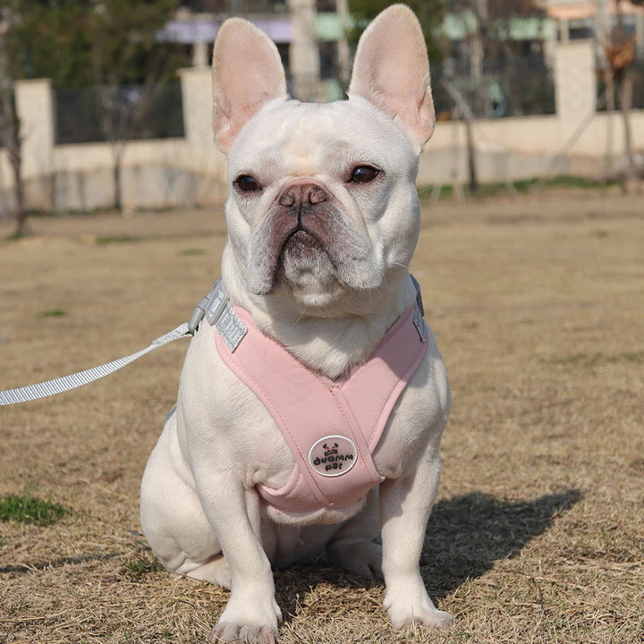 Adjustable No-Pull Dog Harness with Leash Set