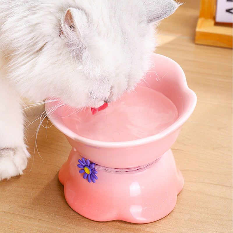 Elevated Gradient Ceramic Pet Bowl