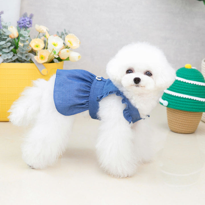 Luxury Denim Dog Dress