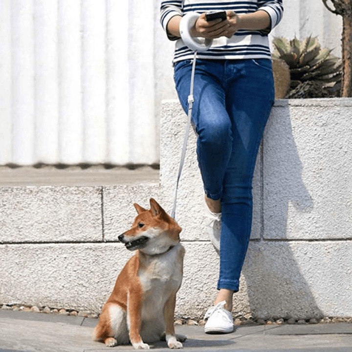 Mostar UFO Pet Automatic Retractable Leash with Lamp Dog Traction Rope from 2.6M Pet Expansion Rope - Trendha
