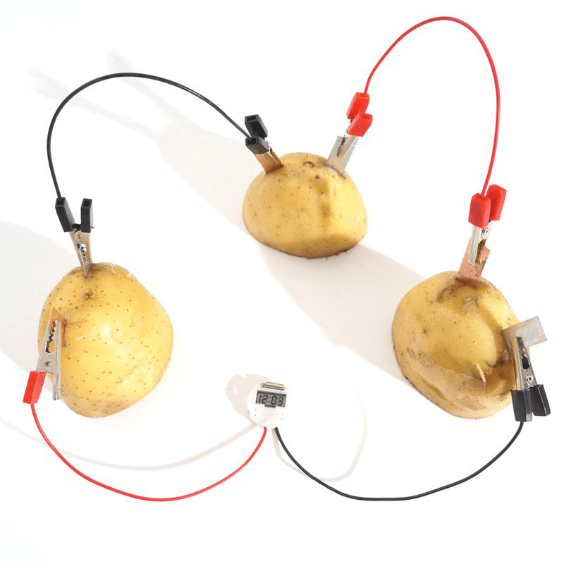 DIY Potato Powered Fruit Digital Clock Kit for Kids Children Science Learning Experience Toys - Trendha