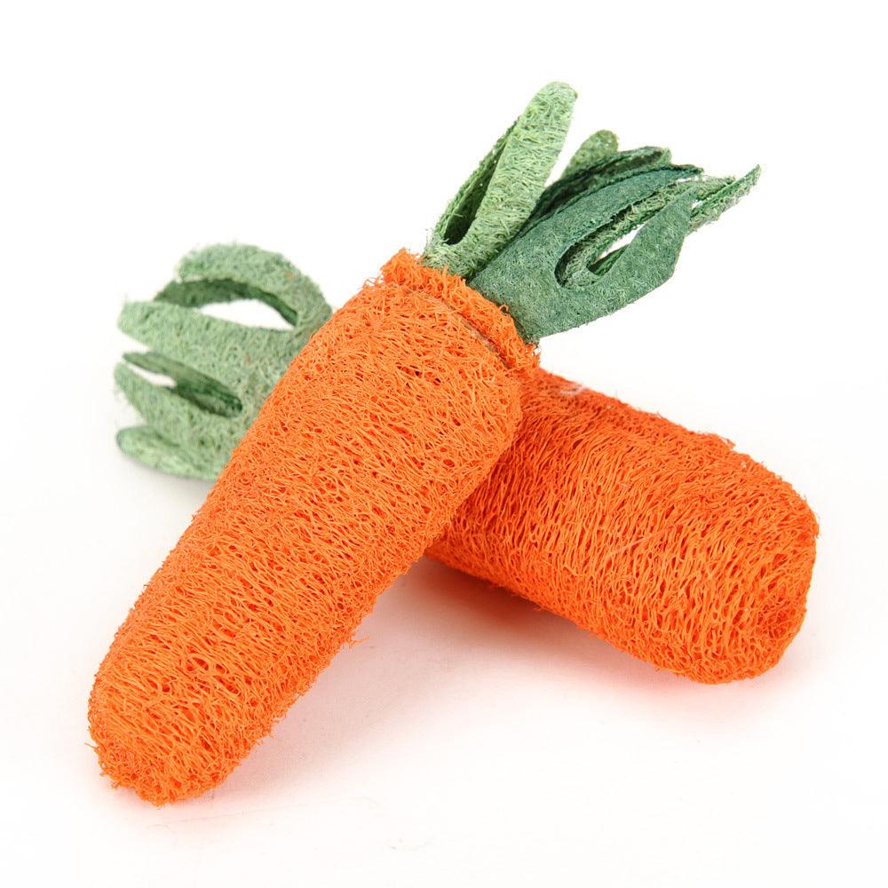 Chew Carrot Shaped Toy - Trendha