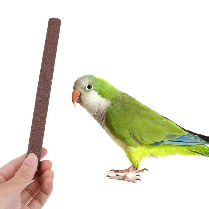 Colorful Wooden Perches For Parrots - Trendha