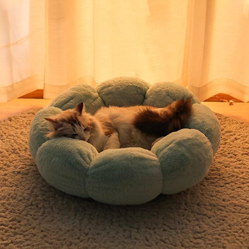 Flower Shaped Cats Bed - Trendha