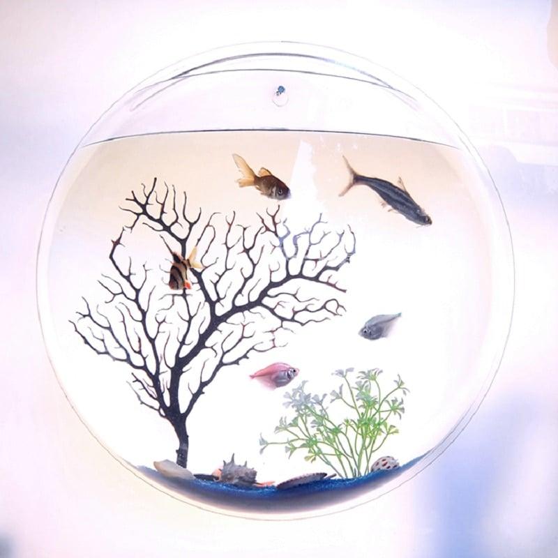 Hanging Globular Acrylic Aquarium - Trendha
