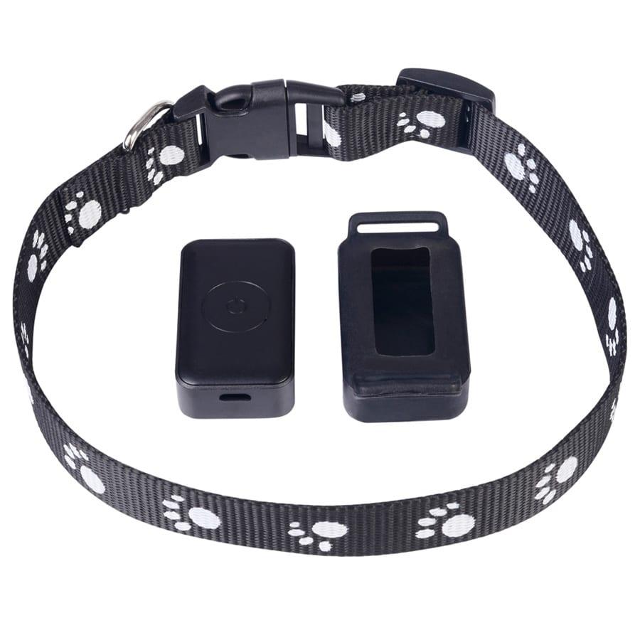Real-Time GPS Tracker For Pets - Trendha