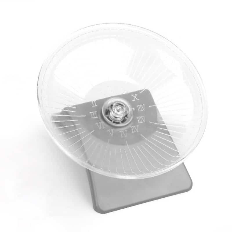 Silent Exercise Wheel for Small Animals - Trendha