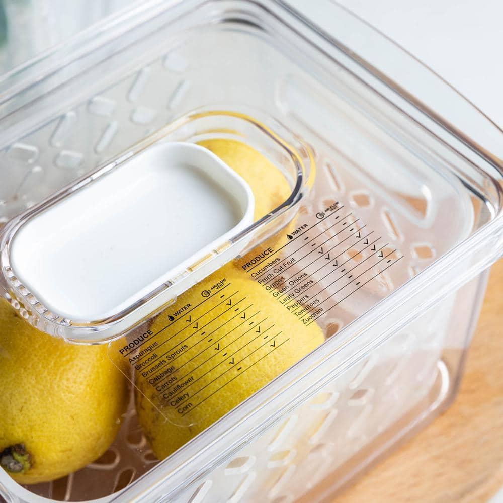 Transparent Refrigerator Food Storage Containers with Drainer - Trendha