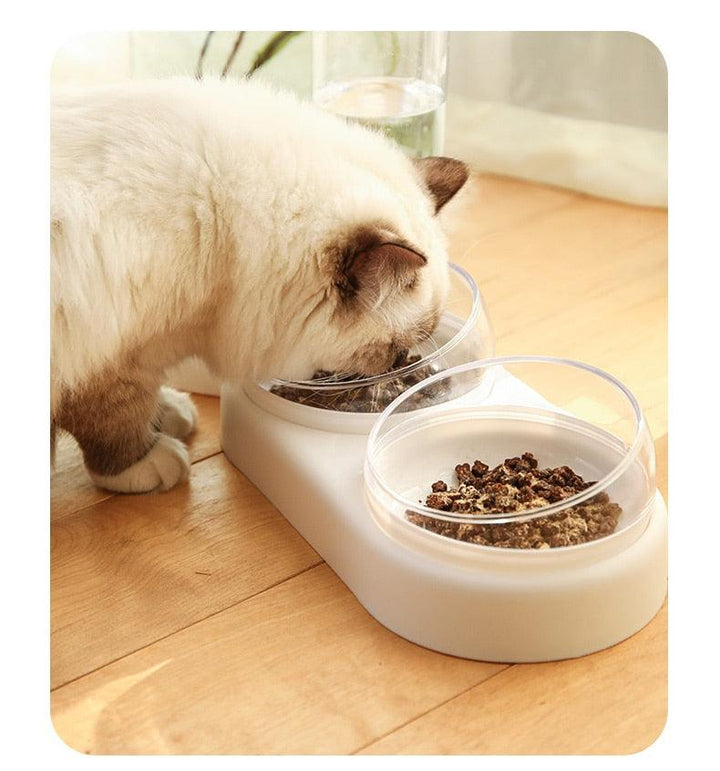 Triple Cat Bowl with Automatic Water Feeder - Trendha