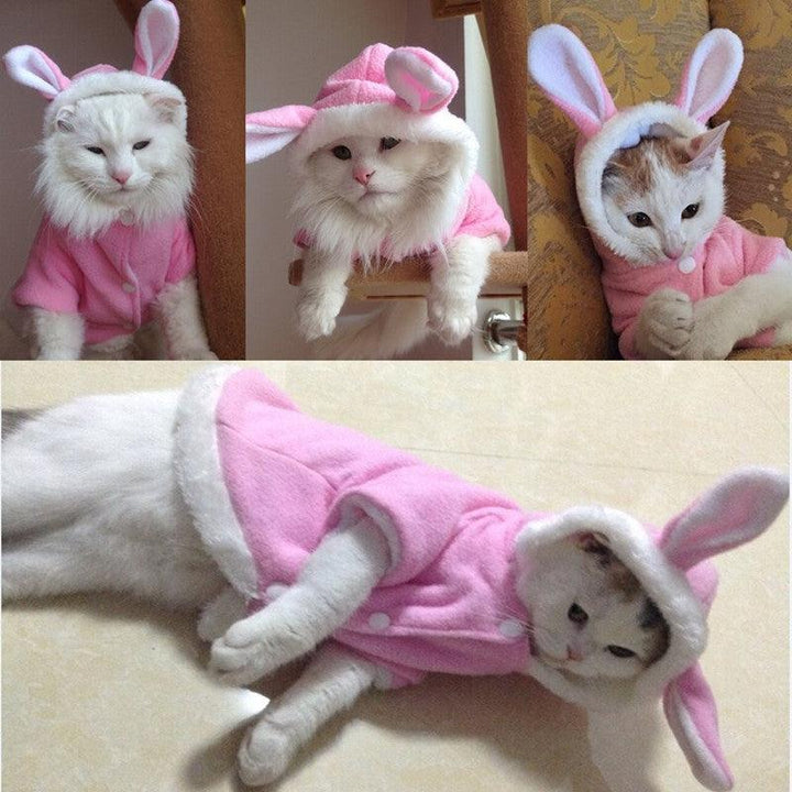 Warm Comfortable Cat Suit - Trendha