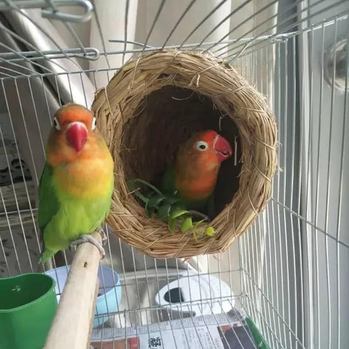 Woven Straw Round Shaped Bed for Birds - Trendha